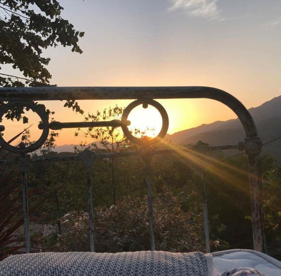 Casa Santa Lucia Bed & Breakfast Bocognano Dış mekan fotoğraf